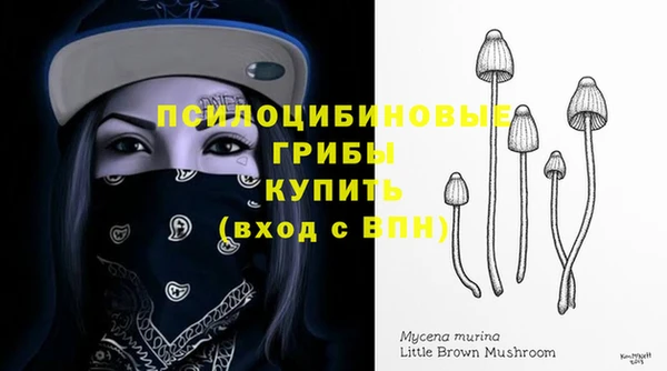Альфа ПВП Пестово