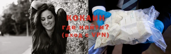 Альфа ПВП Пестово