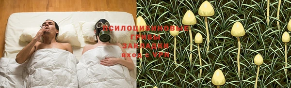 мяу мяу кристалл Ельня