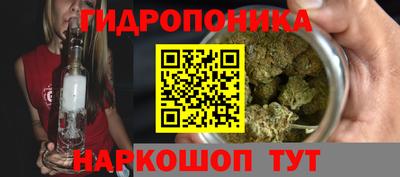 ПСИЛОЦИБИНОВЫЕ ГРИБЫ Заволжье