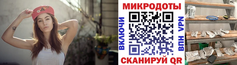 закладка  Кохма  Псилоцибиновые грибы MAGIC MUSHROOMS 
