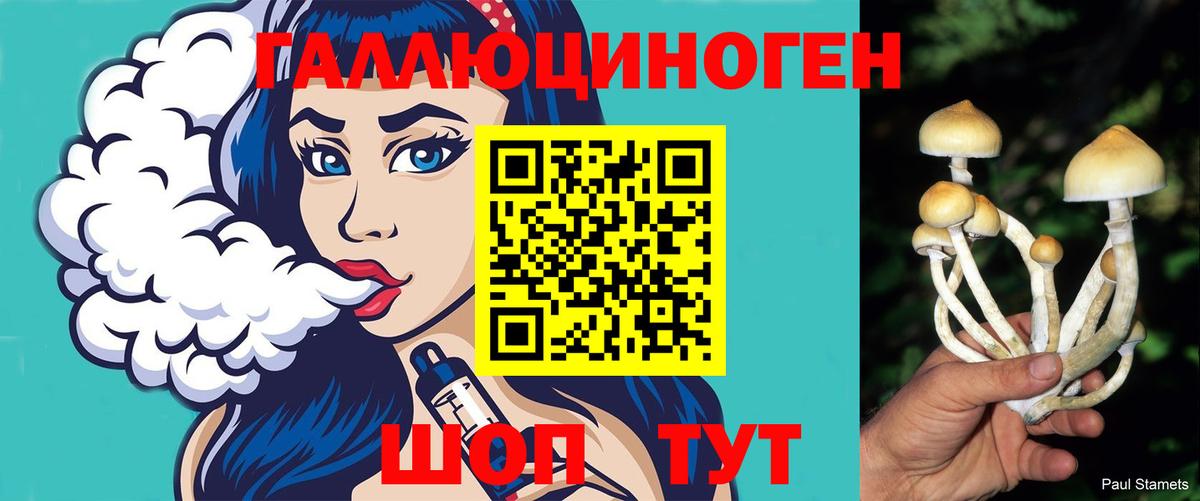 Галлюциногенные грибы мухоморы  Вход с VPN  Кохма 